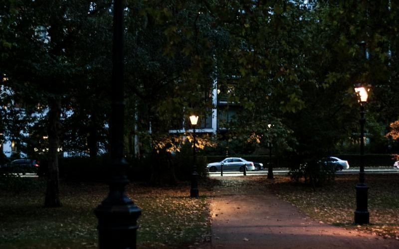 Allée de parc éclairée le soir